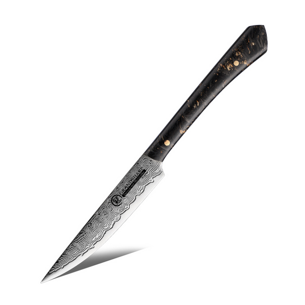 Kitchen Knives Damascus AUS-10 Japanese Steel -Hygo Knives™