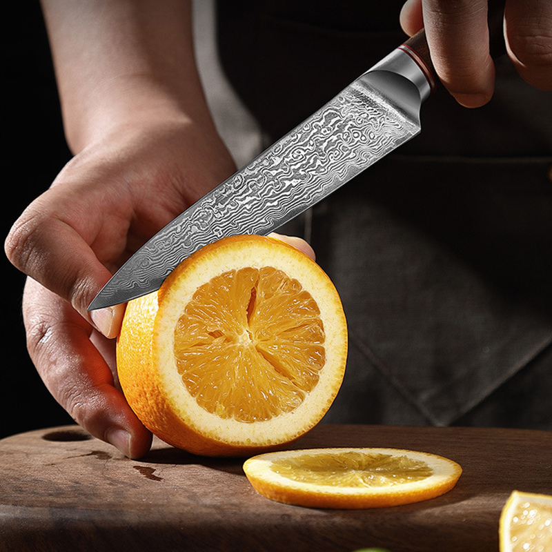 Utility Knives Kitchen 67-layer Damascus Steel Japanese -Hygo Knives™
